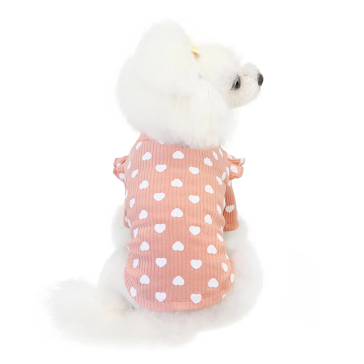 Maglietta girocollo Fashion puppy
Righe due varianti