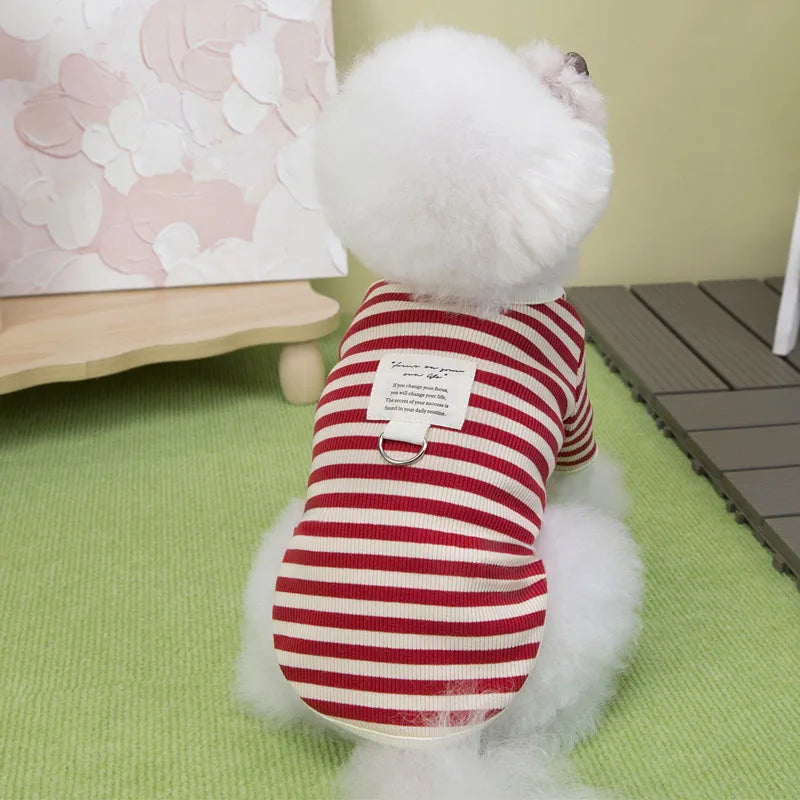 Maglietta girocollo Fashion puppy
Righe due varianti
