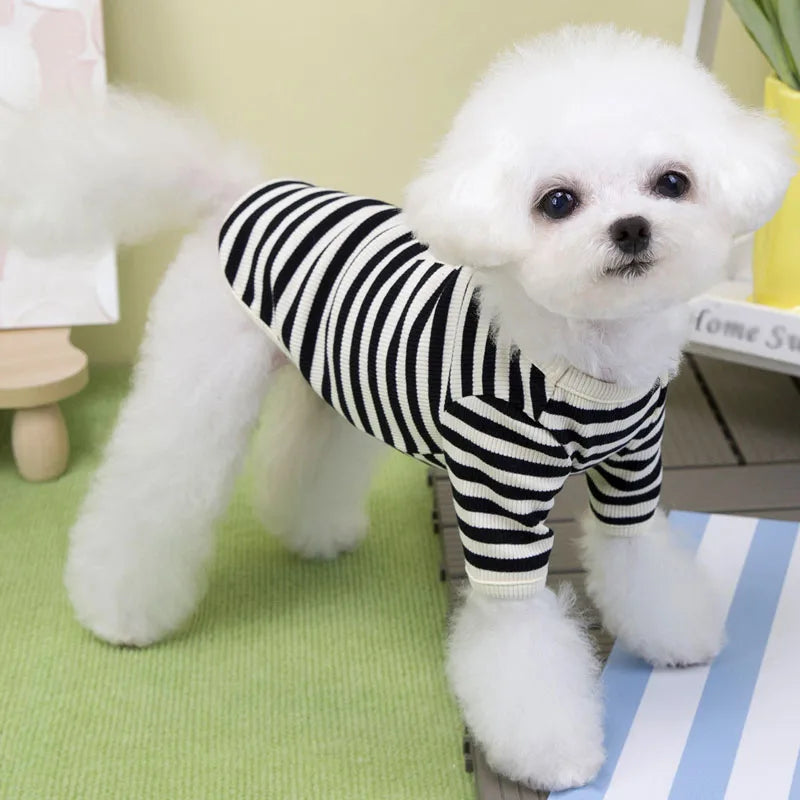 Maglietta girocollo Fashion puppy
Righe due varianti