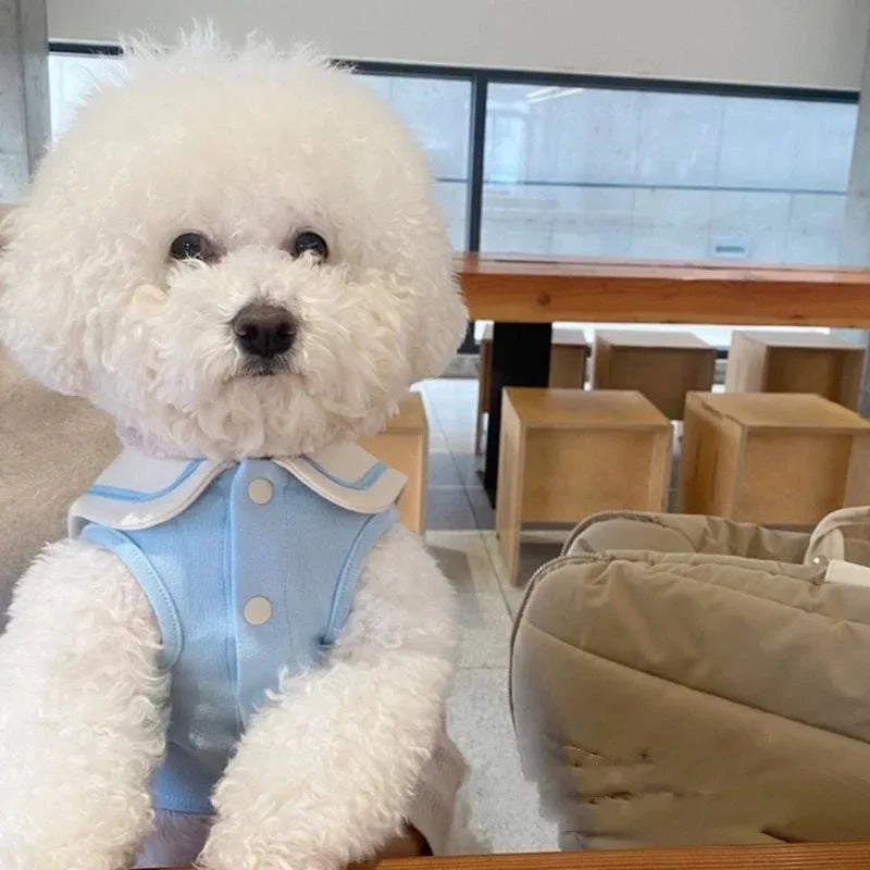 Elegante Polo T-shirt per cani di piccola e media taglia