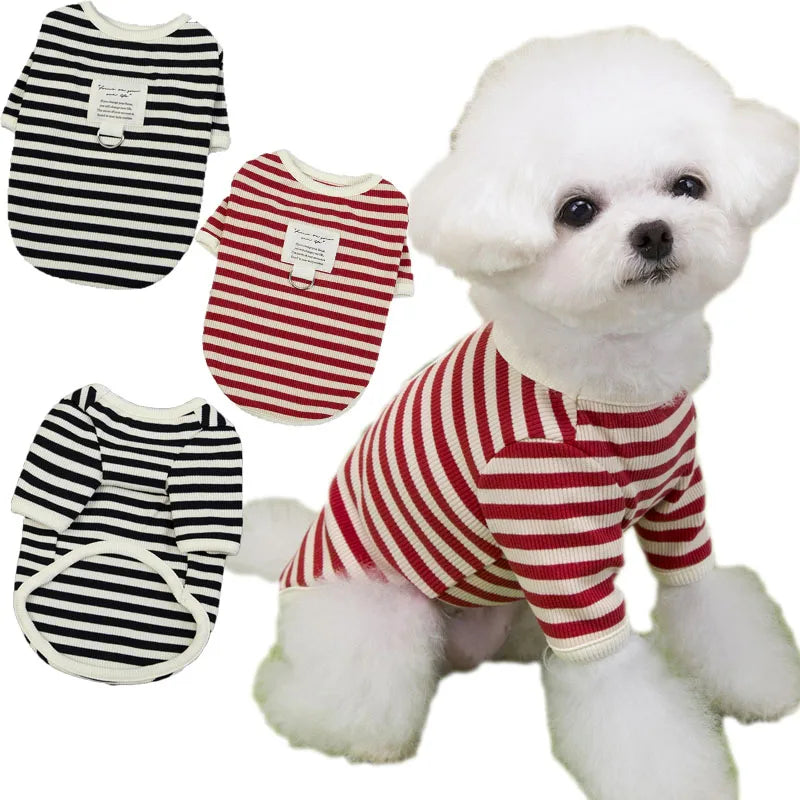 Maglietta girocollo Fashion puppy
Righe due varianti