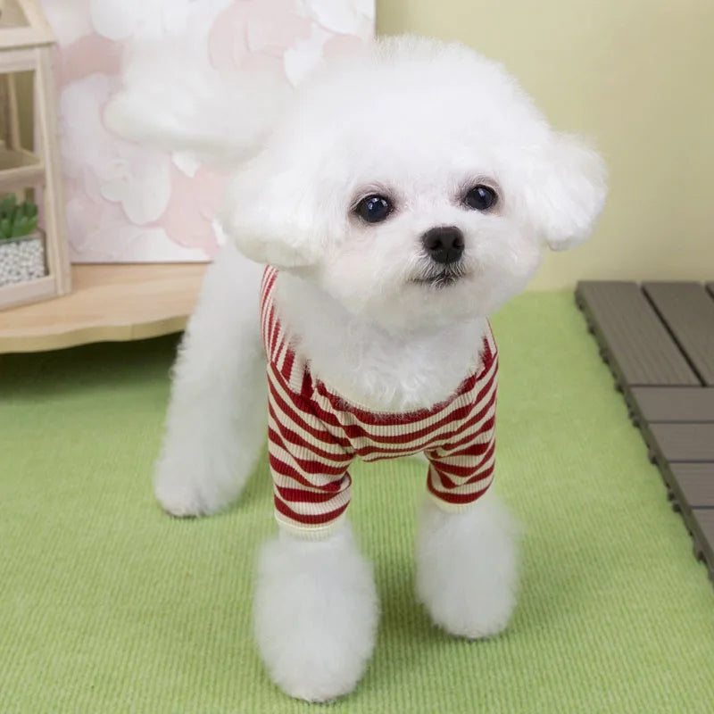 Maglietta girocollo Fashion puppy
Righe due varianti