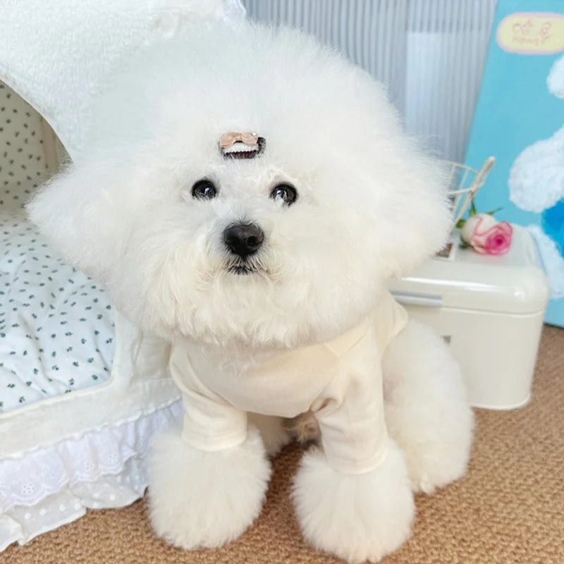 Camicia carina per cani in tessuto solido Abiti morbidi e caldi per cani Felpe con cappuccio alla moda per cuccioli